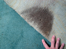 Mold Growth on Basement Carpet